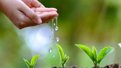 DESARROLLO SUSTENTABLE IA 2025